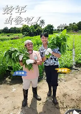 一起去露营吧综艺全集免费看